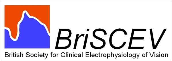image (31) BriSCEV logo